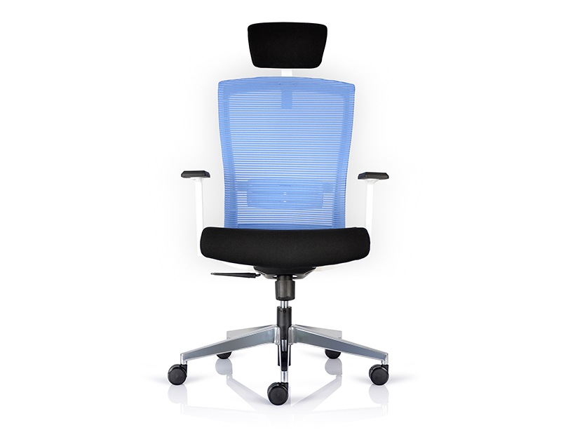 CF-BS-01HW High Back Office Chair with Headrest